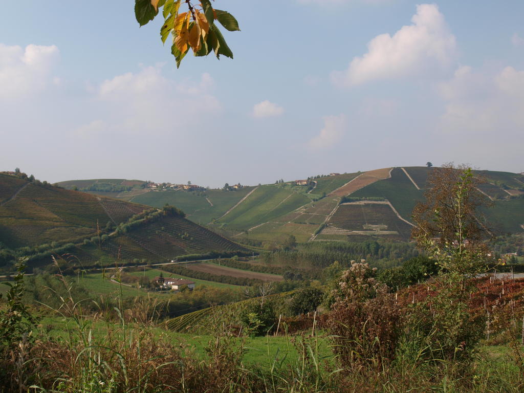 La Terrazza Del Barbaresco Bed and Breakfast Neviglie Exteriör bild