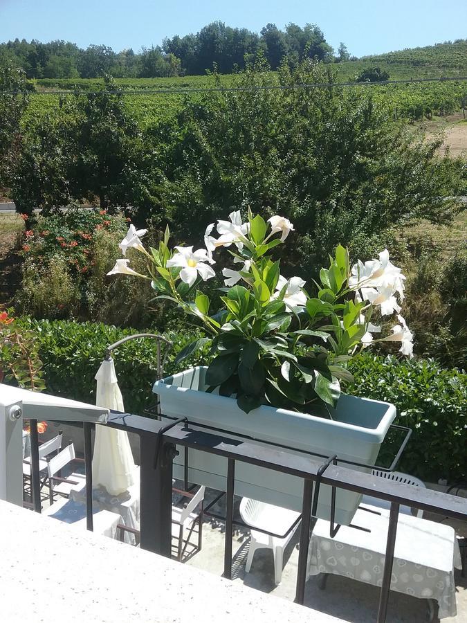 La Terrazza Del Barbaresco Bed and Breakfast Neviglie Exteriör bild
